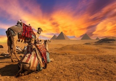Promenade Ã  dos de chameau au lever du soleil